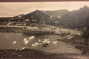 Bilde av Gåsedammen